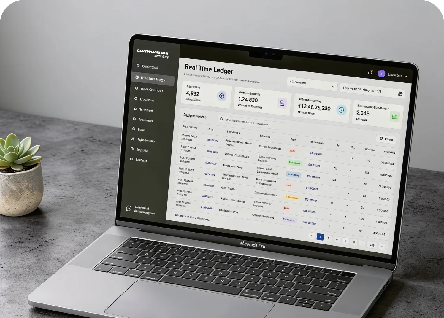 Real Time Ledger UI shown on a laptop